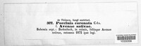 Puccinia coronata image